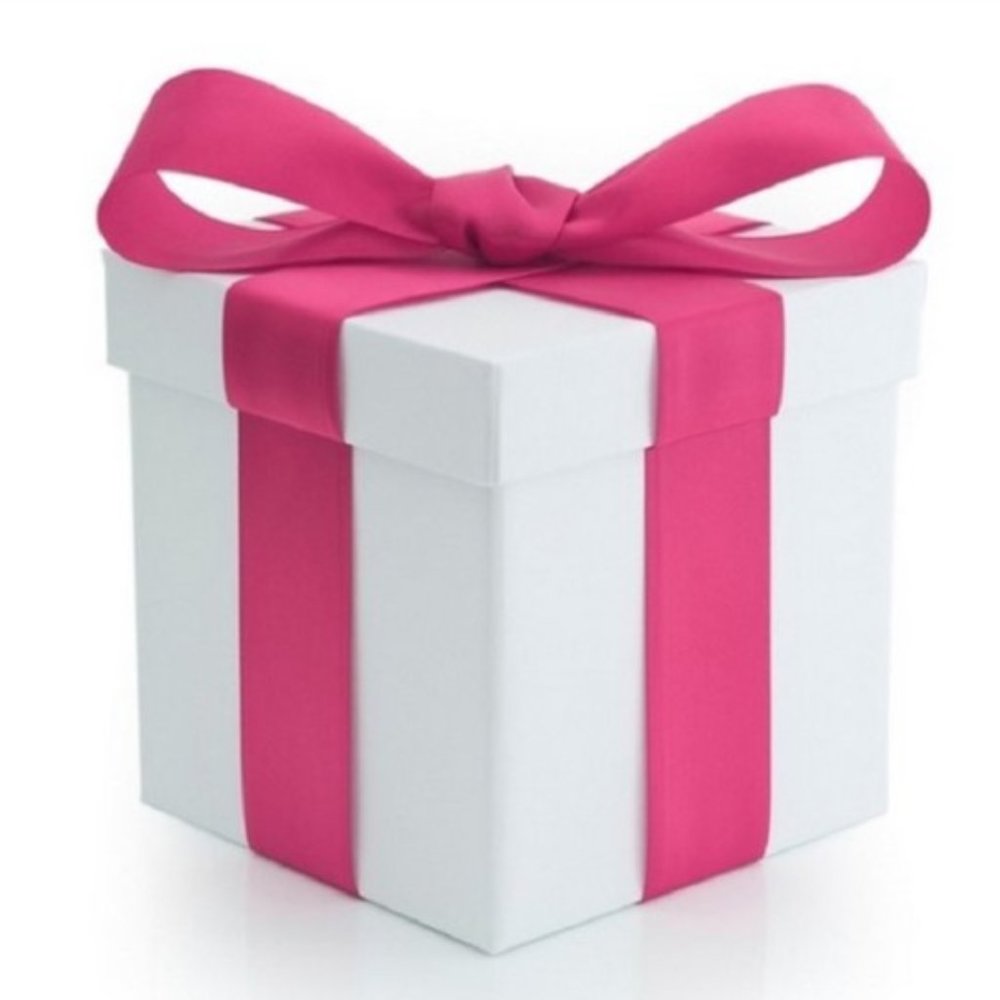 NWT NORDSTROM $499 MSRP - MYSTERY BOX